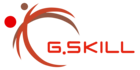 Logo van het merk G.Skill