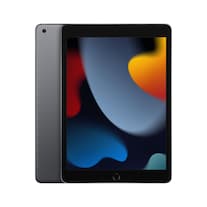 Apple iPad 2021 (9e generatie) (Alleen WLAN, 10.20", 64 GB, Ruimte grijs)