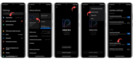 Ihr könnt auch versuchen, Eure Region auf Indien umzustellen oder Euch sogar für das MIUI Pilot-Programm anzumelden. / © NextPit
