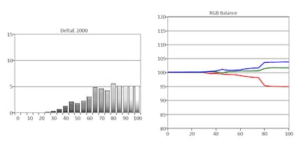 Links: Graustufen Delta E. Rechts: RGB-Balance.