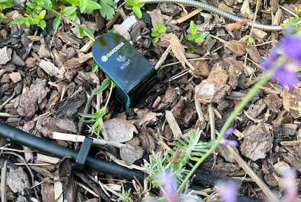 Der Sensor ist der Tastsinn im Gardena-System. Er weiss, wie feucht der Boden ist und ob bewässert werden müsste.