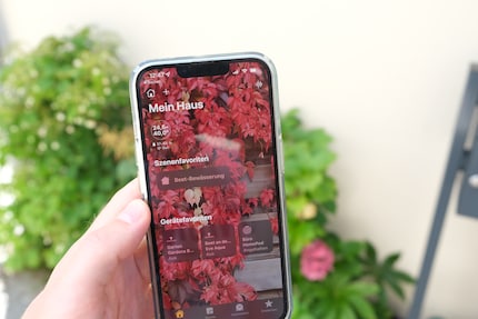 Die «Home»-App ist Apple-like gut aufgeräumt. Ich hätte lieber mehr Infos auf einem Screen.