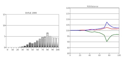 Links: Graustufen Delta E. Rechts: RGB-Balance.