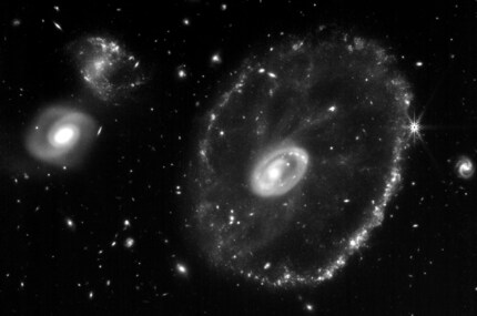 What a single exposure of the NIRCam looks like, here with the f444w filter.