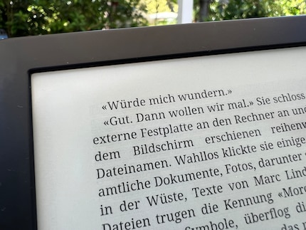 With bright sunshine and a keen eye, you’ll notice a faint E Ink shadow behind the lines.