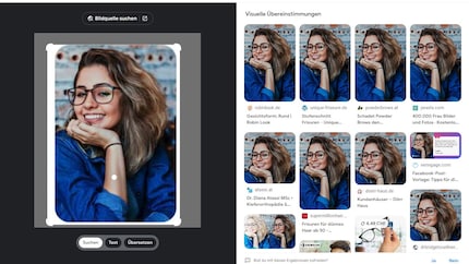 Screenshot of the image search with the image supposedly belonging to Serinita.