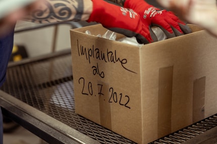 All new prostheses are collected in this box.