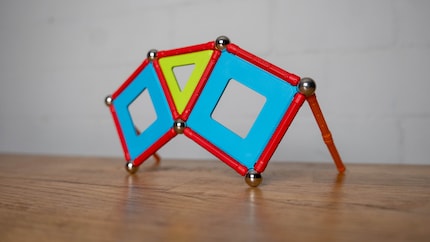 Meine Geomag-Paradiesvogel-Brille.