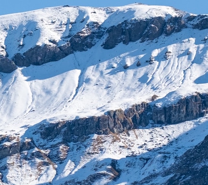 Ein Ausschnitt aus dem obigen Bild
