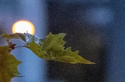 6400 ISO, cropped