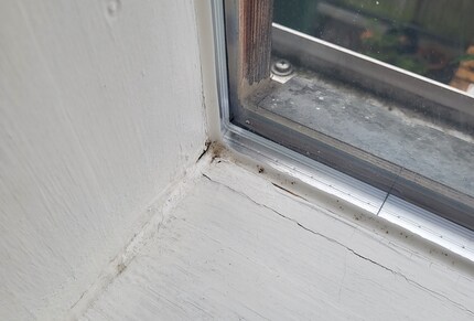 Sieht zwar schon viel besser aus. Doch perfekt ist es leider nicht geworden.