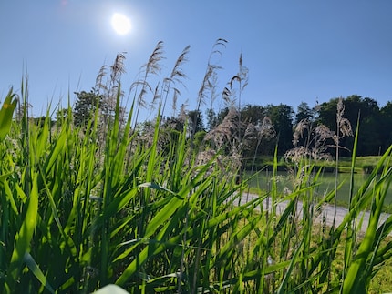 De hoofdcamera van de Xiaomi 13 Lite legt licht en schaduw vast.