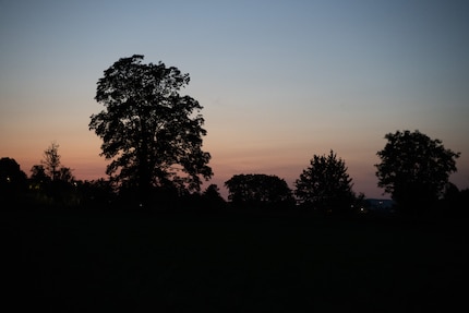 De onbewerkte RAW-opname, dus met de standaardinstellingen van Lightroom.