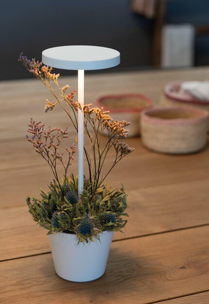 For anyone with a blooming imagination: the storage tray is suitable for storing or decorating.