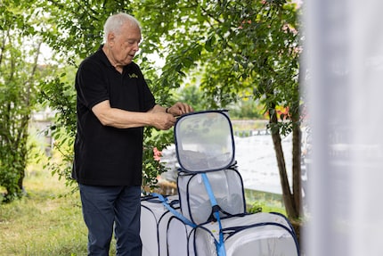 Marc de Roche bezit aerariums van verschillende afmetingen. Hij raadt om te beginnen minimaal maat M aan, die ruimte biedt voor een voedingsplant.