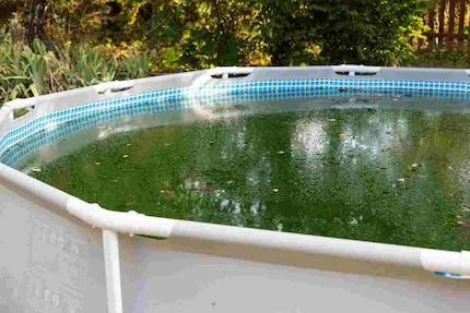 Nicht unser Pool, trotzdem unappetitlich, weil gekippt.