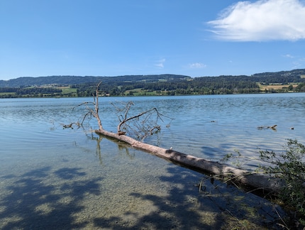 Google Pixel 7 Pro: de vergelijkingsfoto komt veel dichter bij de werkelijkheid.