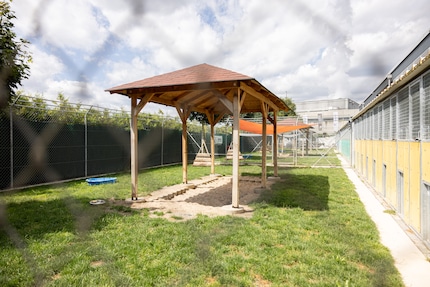 The dogs can relax on the grass alone or with other pooches. The animals are released via the hatches on the right.