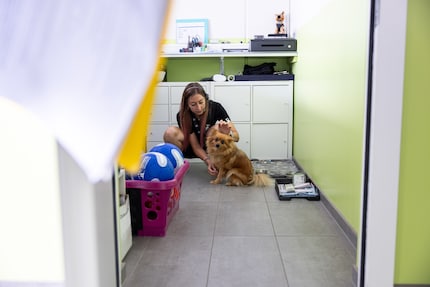 Receptionist Deborah Thillen and her dog Missy welcome us to Tierhotel 5 Stern.