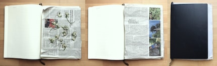 Platzieren, bedecken, zuklappen: So können Blumen einfach in einem Buch gepresst werden.