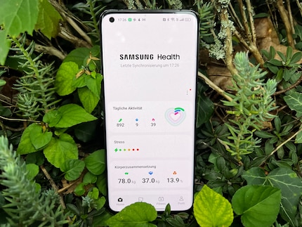 The health app displays both exercise and wellbeing statistics.