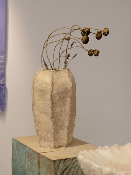 The collection «Deco Mycø» consists of a biomaterial.