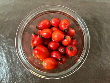 Het supervoedsel rozenbottel: rode vruchten zijn een echte gezondheidscocktail vol vitaminen, antioxidanten en essentiële mineralen.