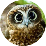 Inspirionkoch