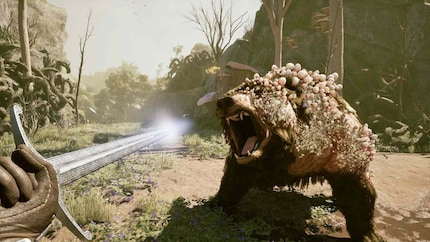 Obsidian’s Avowed is just one of many potential Xbox smash hits.