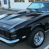 RONNIE6