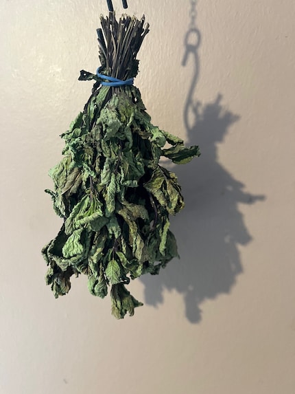 I like livening up my food with fresh mint. Before it goes bad, I hang it on the wall to dry. Next stop: my tea cup.