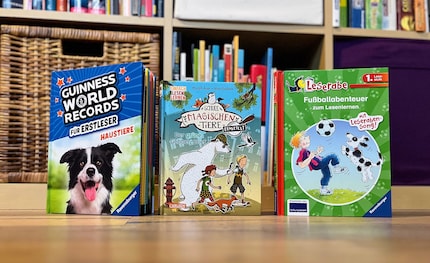 Onze drie testobjecten zorgen ervoor dat je meer wilt: Het volgende deel van «De school van magische beesten is al te bestellen op».