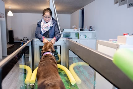 Supergirls huilen niet: Saida doet met een beetje omkoping mee aan de aquafit.
