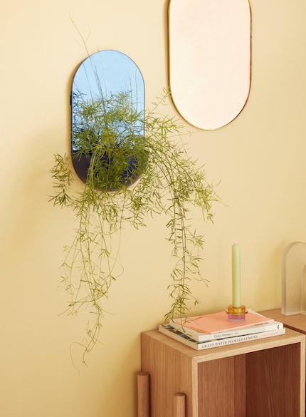 Spiegeltje, spiegeltje aan de wand, welk woonaccessoire is het mooiste en slimste van het hele land? «Chico».