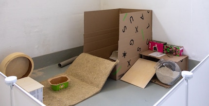 The carer can leave the run permanently set up in this room.