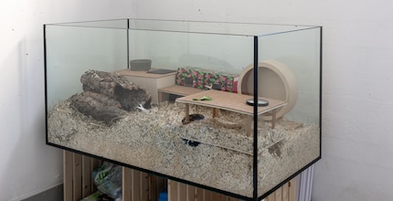 If you're sitting in a glass house, you shouldn't have to worry about falling.