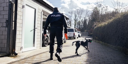 Zo ziet werkmotivatie eruit: Anora stoeit kort voor het begin van de klus.