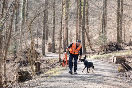 Hier ben ik hond, hier mag ik zijn: Diara ravot tegen het einde van de dag.