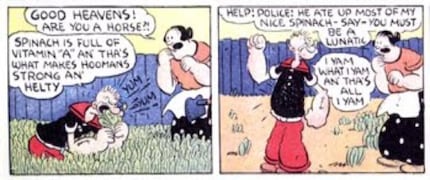 Popeye wusste es von Anfang an: Nicht der Eisengehalt ist das Besondere an Spinat.