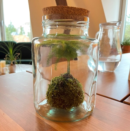 Steffi's cokedama staat geweldig op de eettafel.