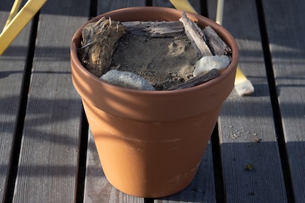 Het zijn niet alleen de kleine insecten die blij zijn met deze zandbak.
