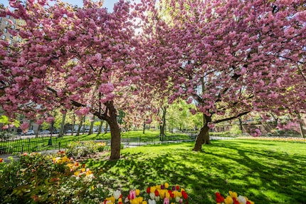 No one: how much colour is too much colour? Spring: yes!