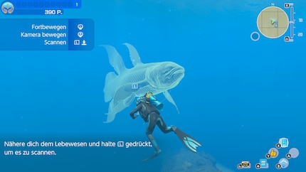 The underwater creatures in Endless Ocean Luminous glow until I’ve scanned them and collected their «light».