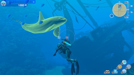Sometimes I swim in icy seas, sometimes in deep-sea canyons. Chance decides.