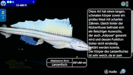 The text boxes read like Pokédex entries.