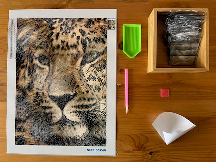 De set bevat alles wat ik nodig heb om te schilderen. Ik heb ook een trechter van papier gemaakt om de diamanten makkelijker in de zakjes te kunnen scheppen.