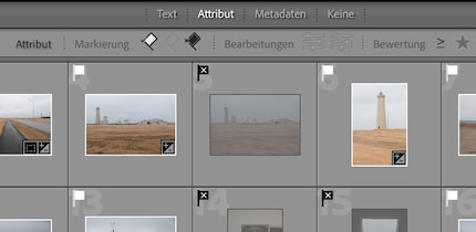 Gemarkeerde en afgekeurde foto's in de rasterweergave.
