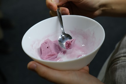 Frozen Yogurt beim Tasting