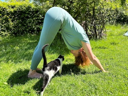 Yoga’s even more fun in the garden with sunshine and my cat visiting.