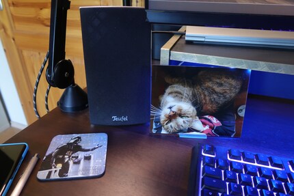 The cup coaster and picture of my cat have a permanent spot on my desk.
